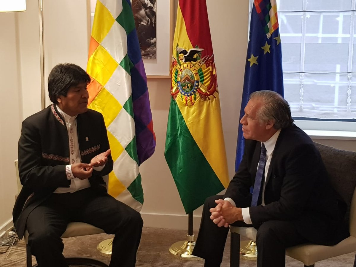 Secretario General de la OEA, Luis Almagro destaca la estabilidad política,  económica y social del Estado boliviano | MINISTERIO DE RELACIONES  EXTERIORES